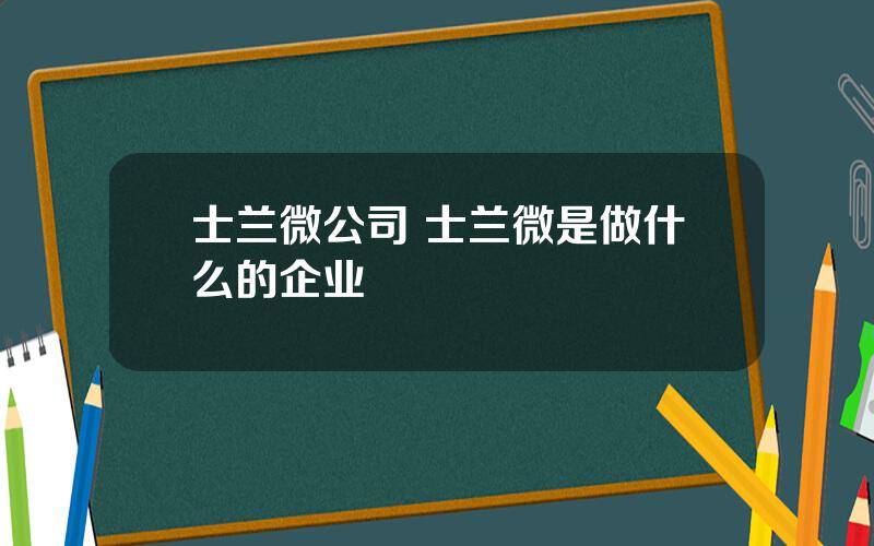 士兰微公司 士兰微是做什么的企业